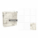 Snap Binder -Aspen