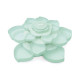 Fleur de Stockage - Mint